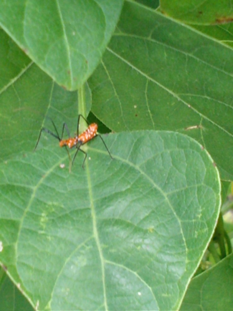 IMG1359.jpg