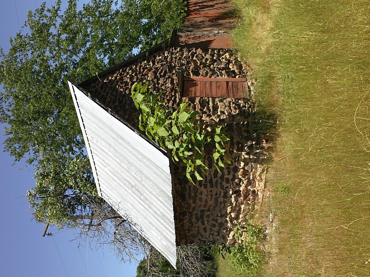 IMG1651.jpg