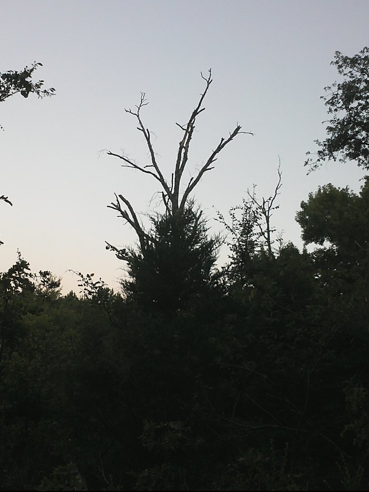 IMG2547.jpg