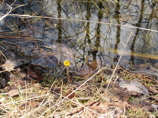 IMG_0086.JPG