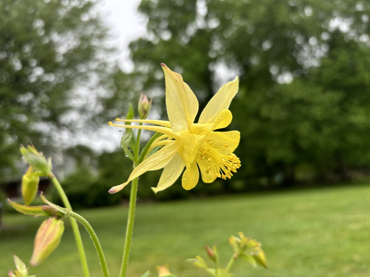 IMG_0128.jpeg