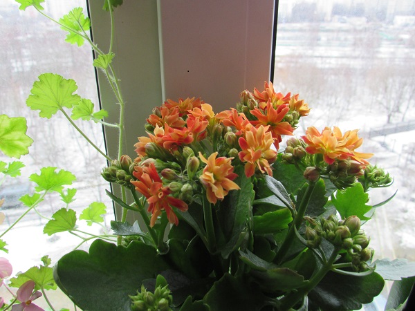 IMG_0160.JPG