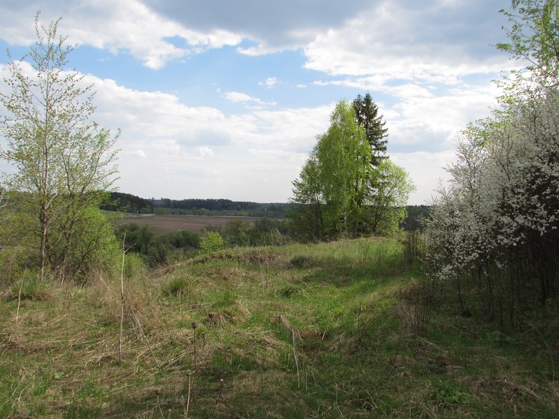 IMG_0605.JPG