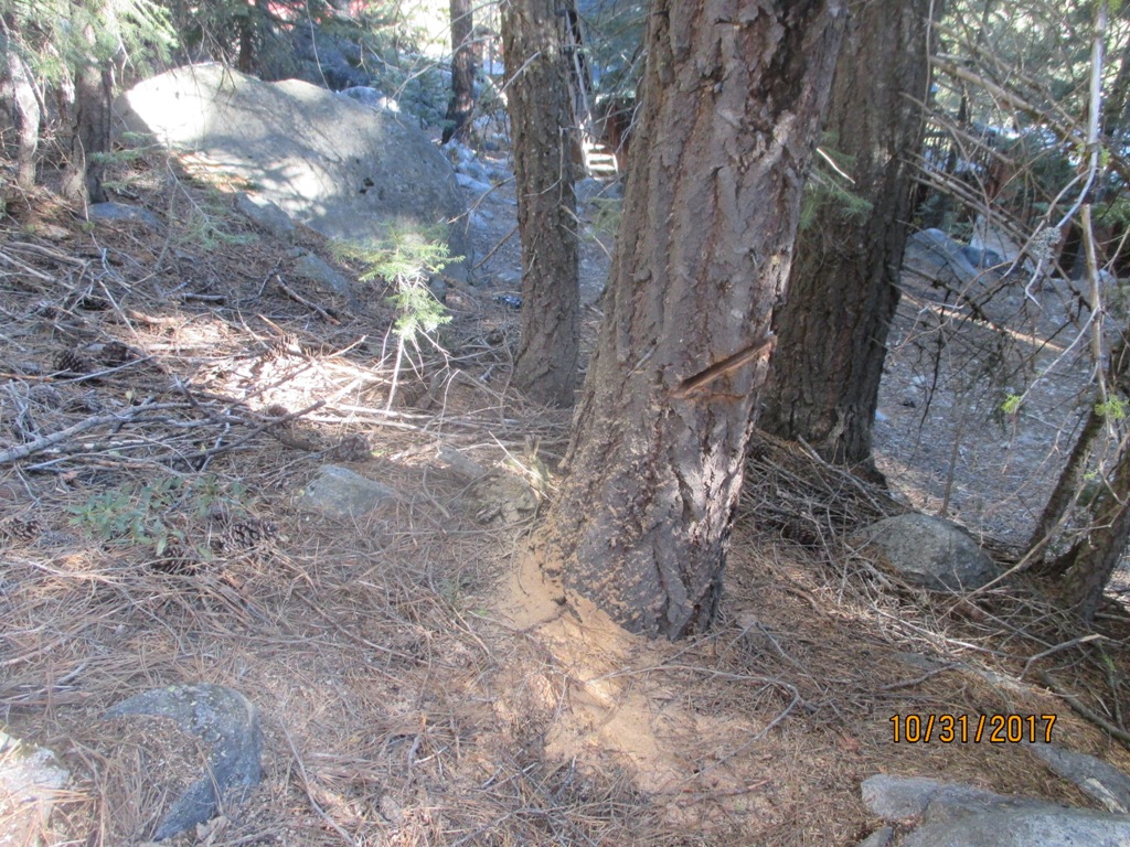 IMG_0629.JPG