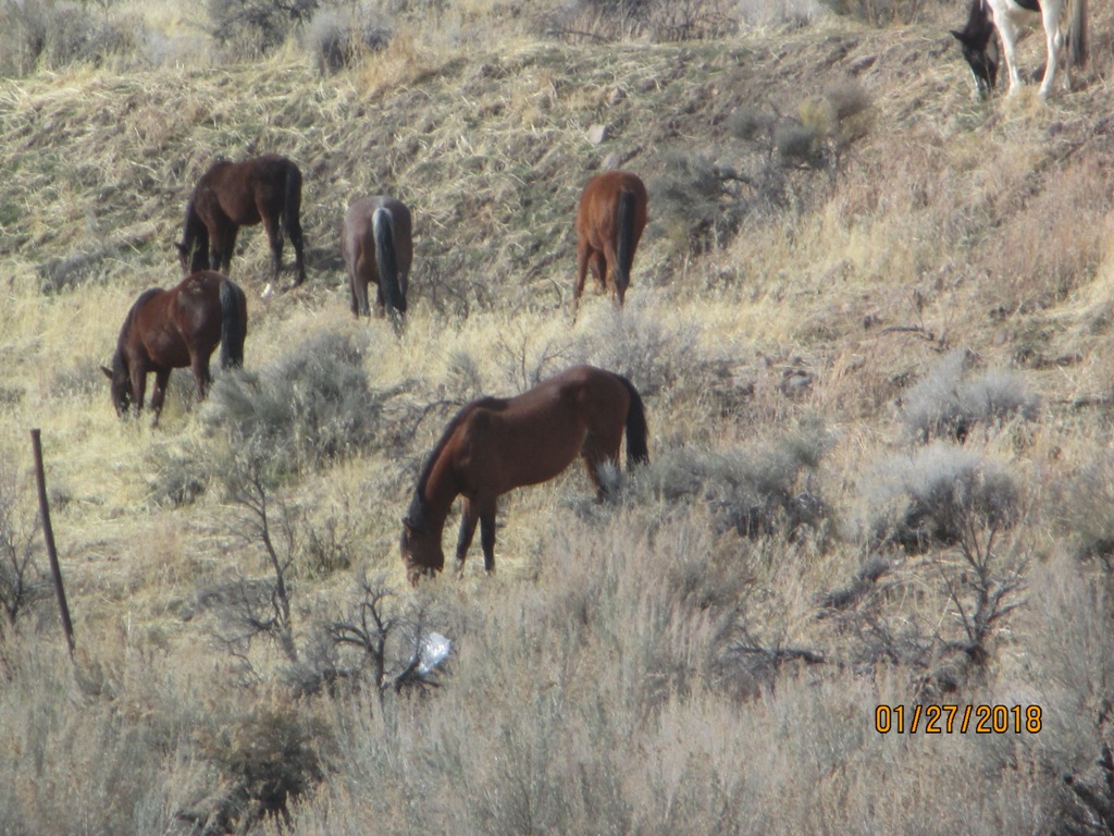 IMG_0702.JPG
