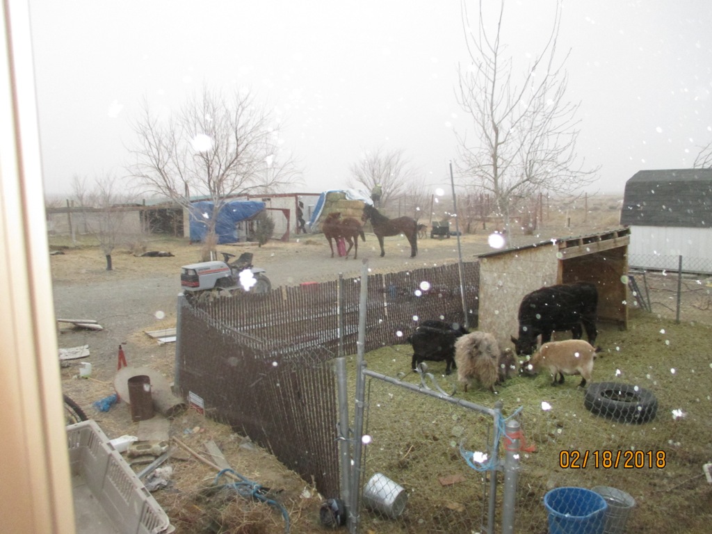 IMG_0715.JPG