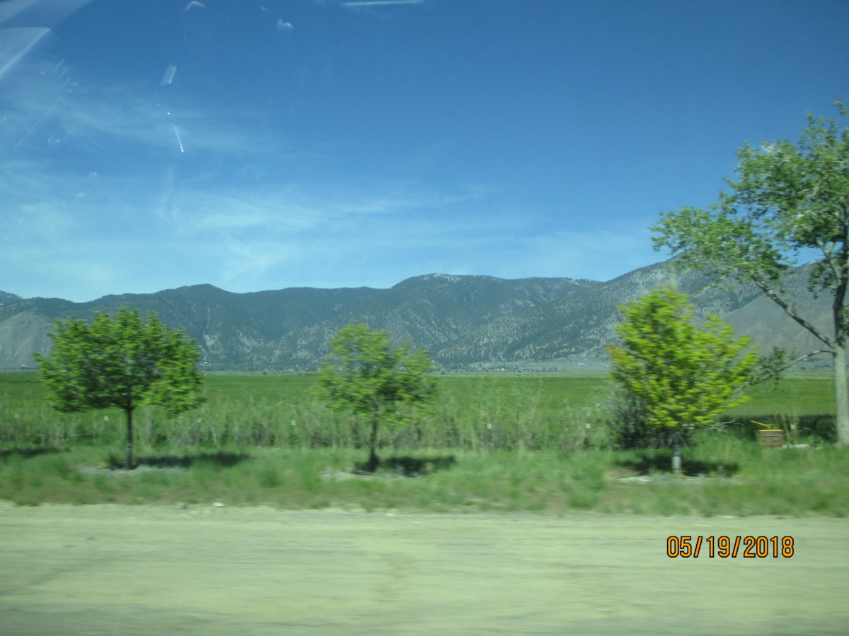 IMG_0870.JPG