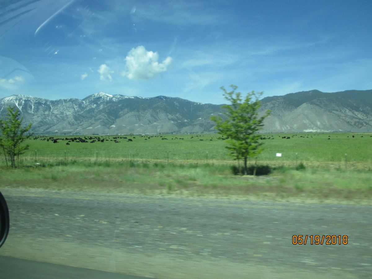 IMG_0871.JPG