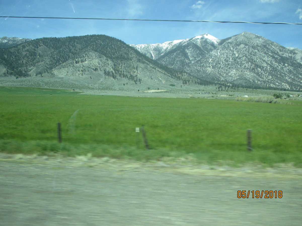 IMG_0874.JPG