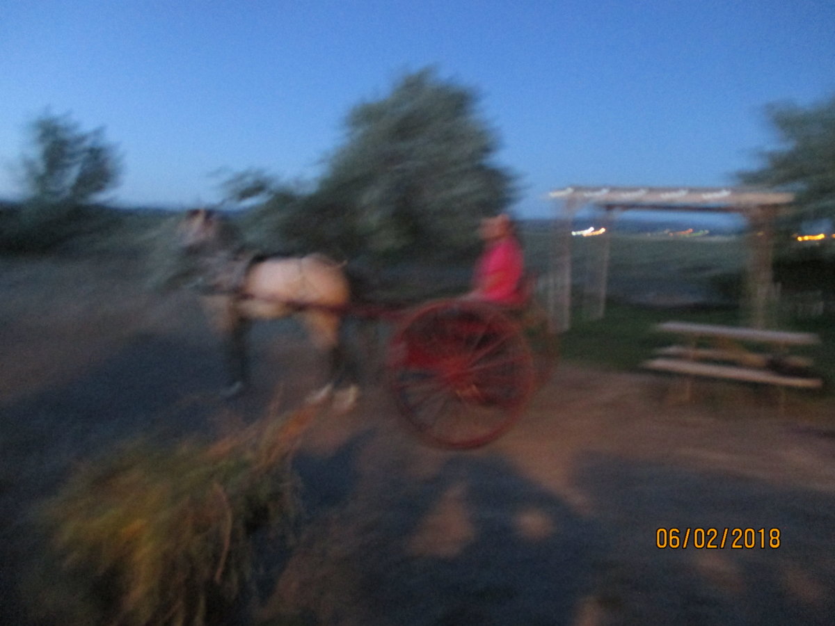 IMG_0900.JPG