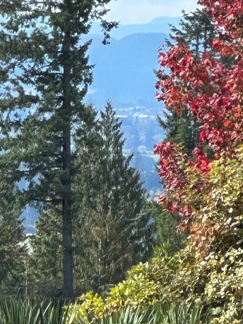 IMG_0992.jpeg