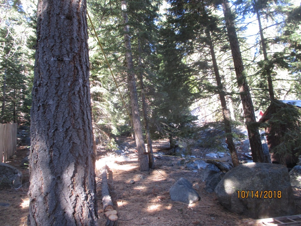 IMG_1008.JPG