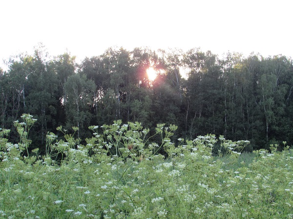 IMG_1626.JPG