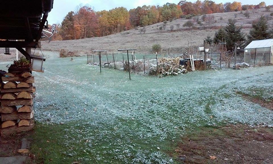 IMG_1692.JPG