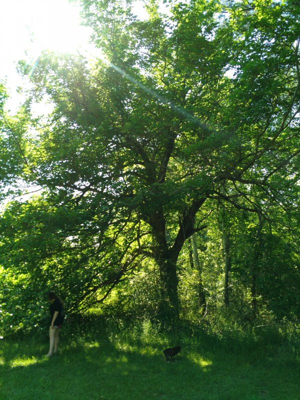 IMG_20160508_161312.jpg