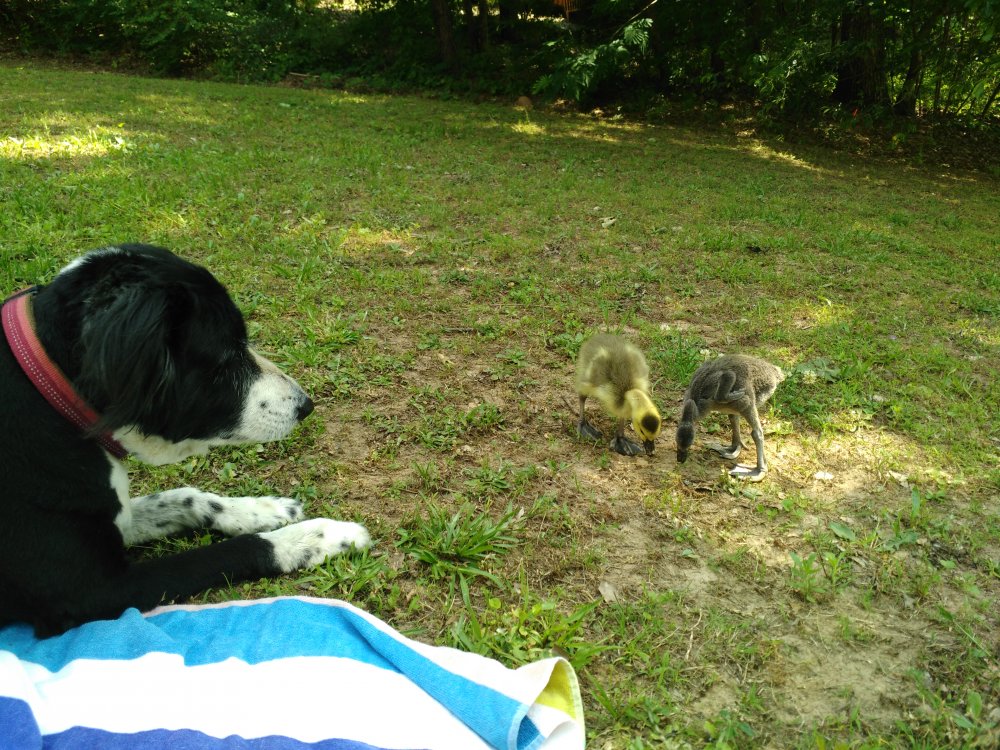 IMG_20160523_152810.jpg
