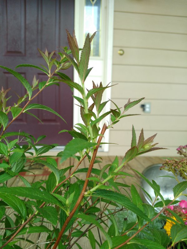 IMG_20160523_173407.jpg