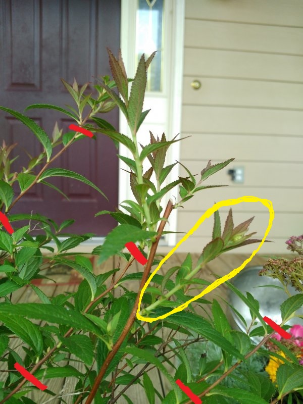 IMG_20160523_173407.jpg