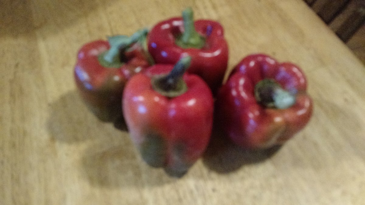 IMG_20181007_122513589.jpg
