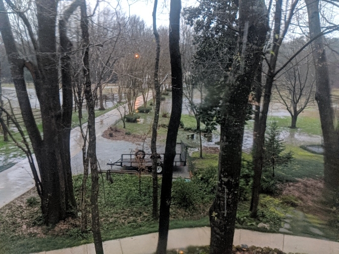 IMG_20190123_162556_01.jpg