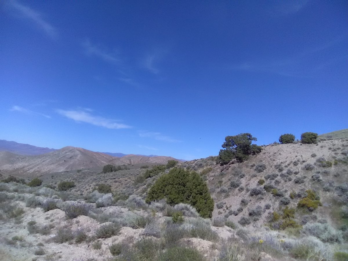IMG_20190608_160335.jpg