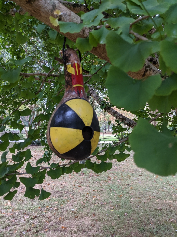 IMG_20191030_164136_resize_79.jpg