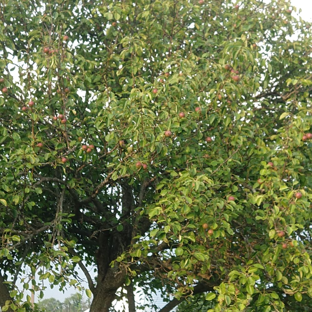 IMG_20230607_192010156.jpg