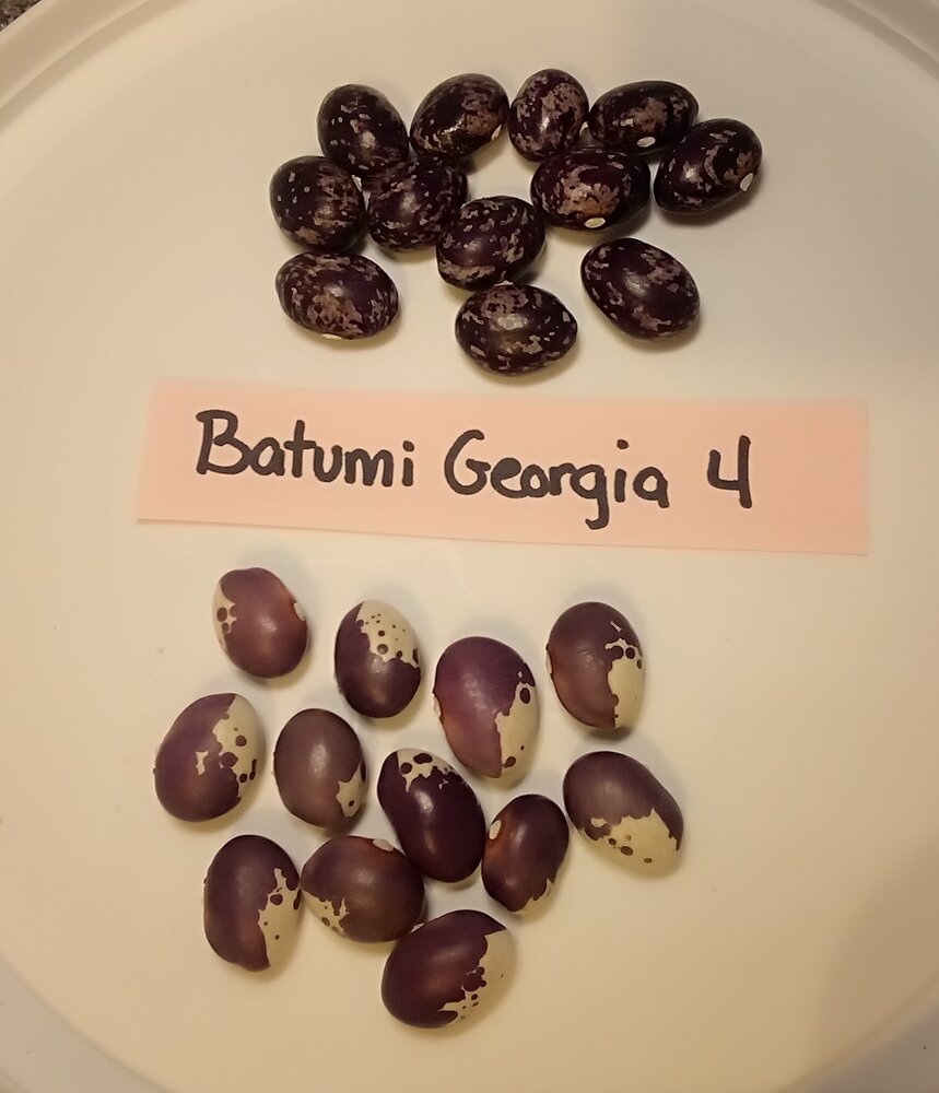 IMG_20260110_044931 (1).jpg