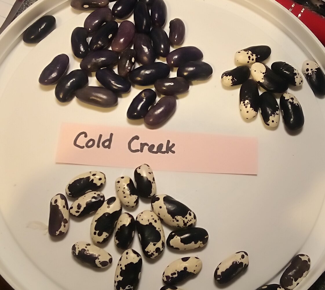 IMG_20260110_050030 (1).jpg