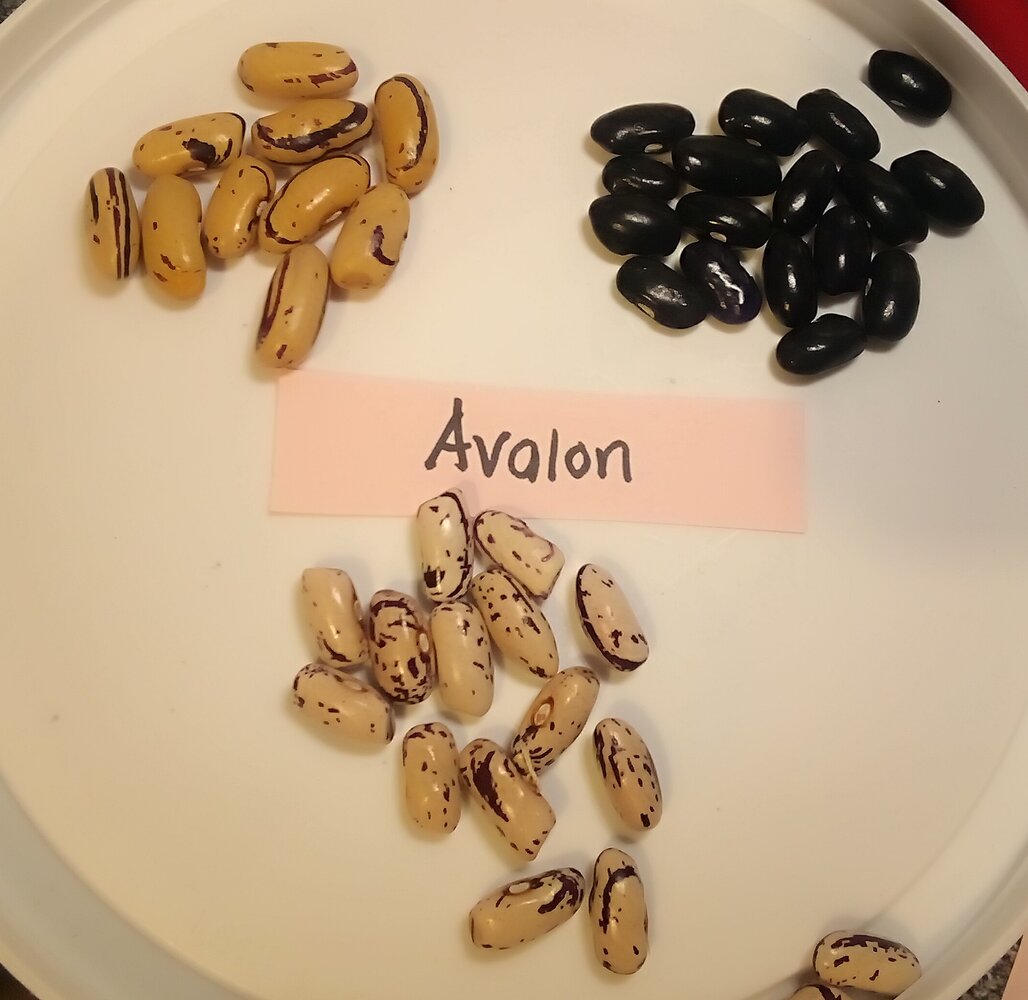 IMG_20260110_051458 (1).jpg