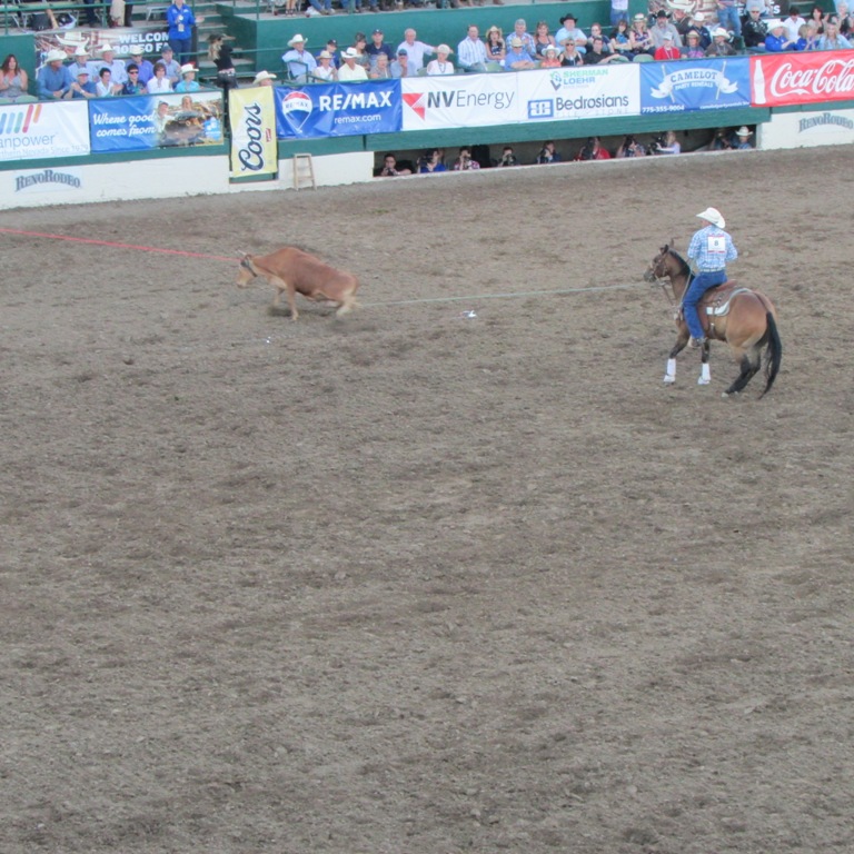 IMG_2631.JPG