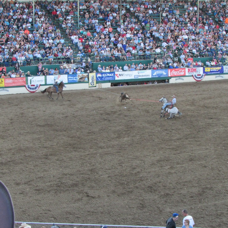 IMG_2635.JPG