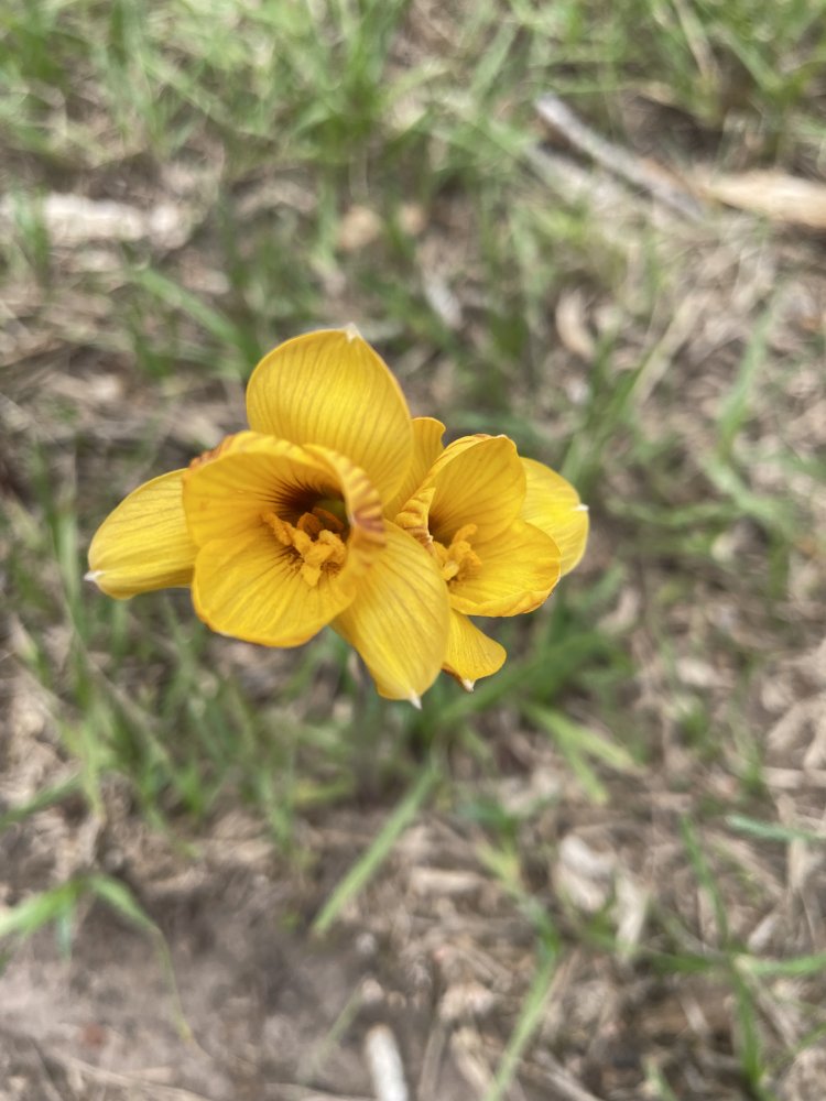 IMG_2640.jpeg