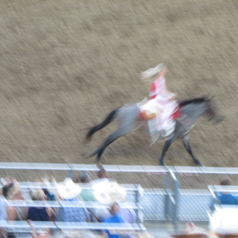 IMG_2649.JPG