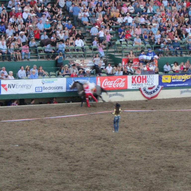 IMG_2654.JPG