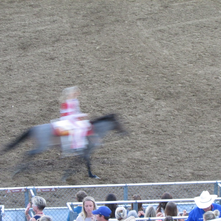 IMG_2655.JPG