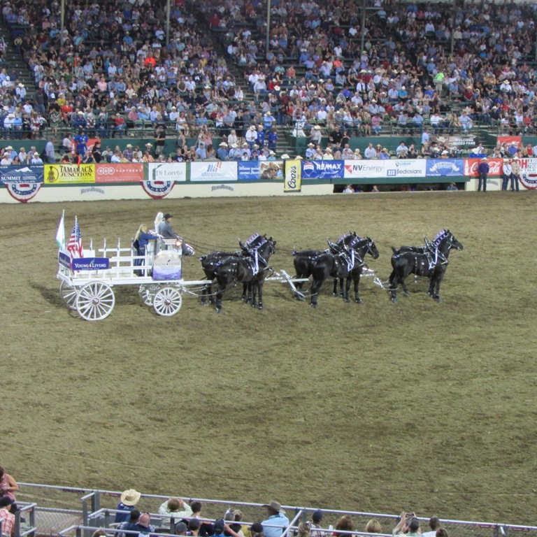 IMG_2684.JPG