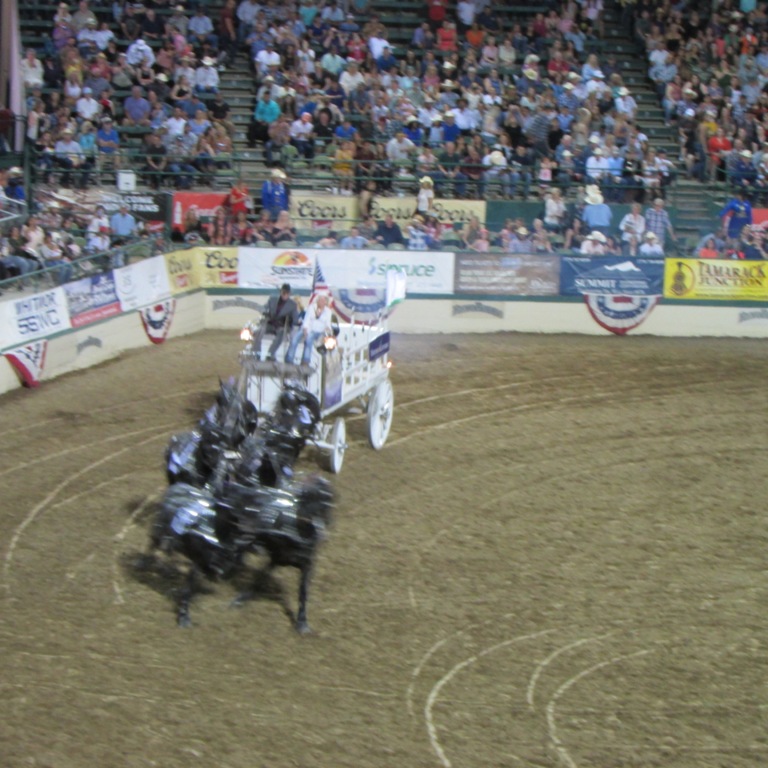 IMG_2691.JPG