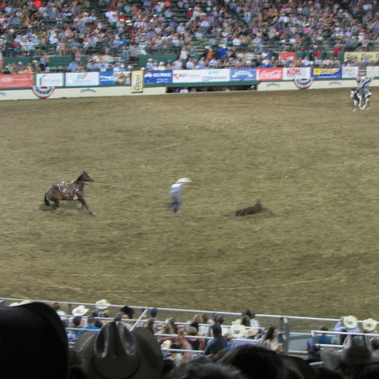 IMG_2698.JPG