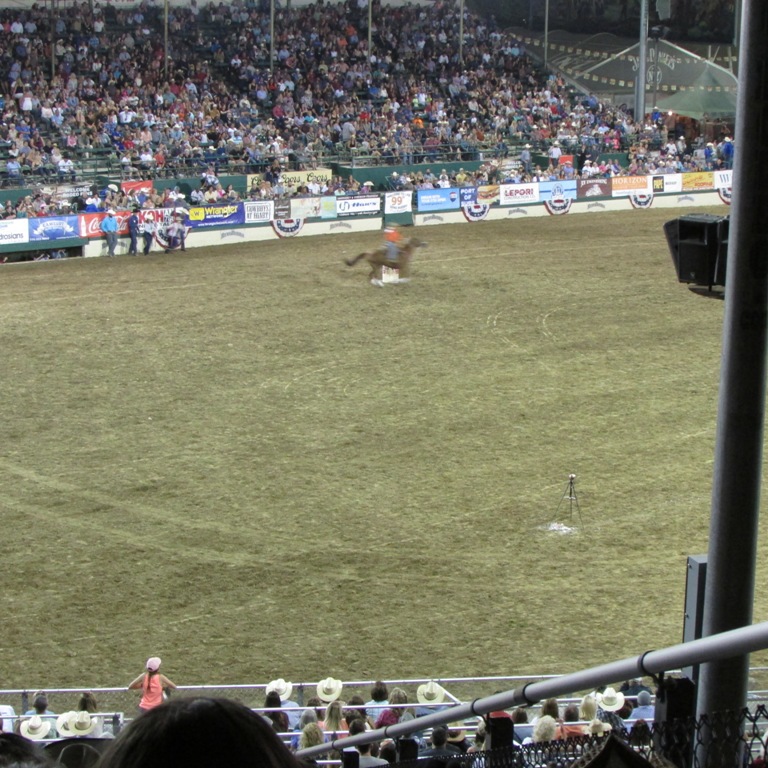 IMG_2704.JPG