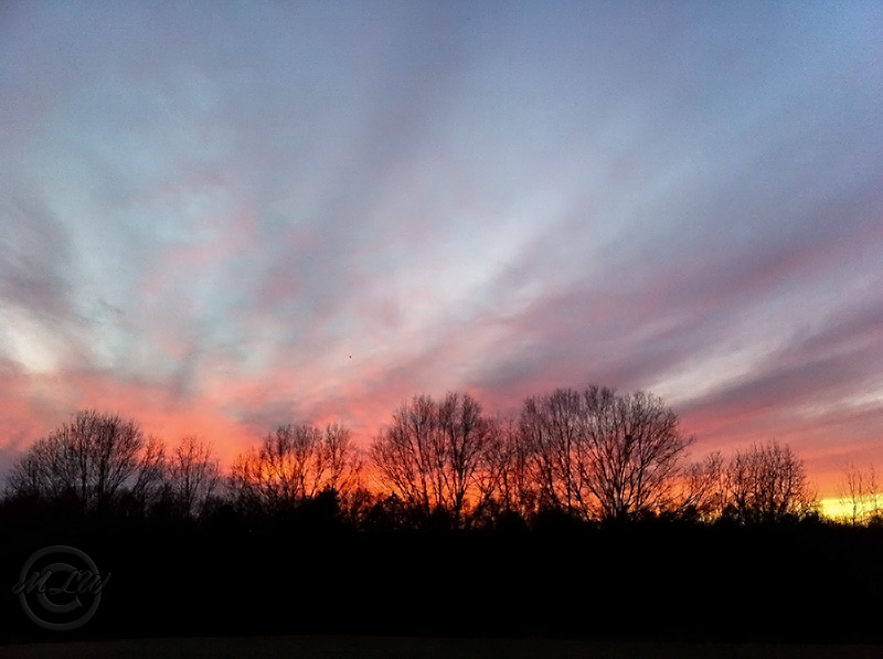 IMG_2706_sunset_01_4_16.jpg
