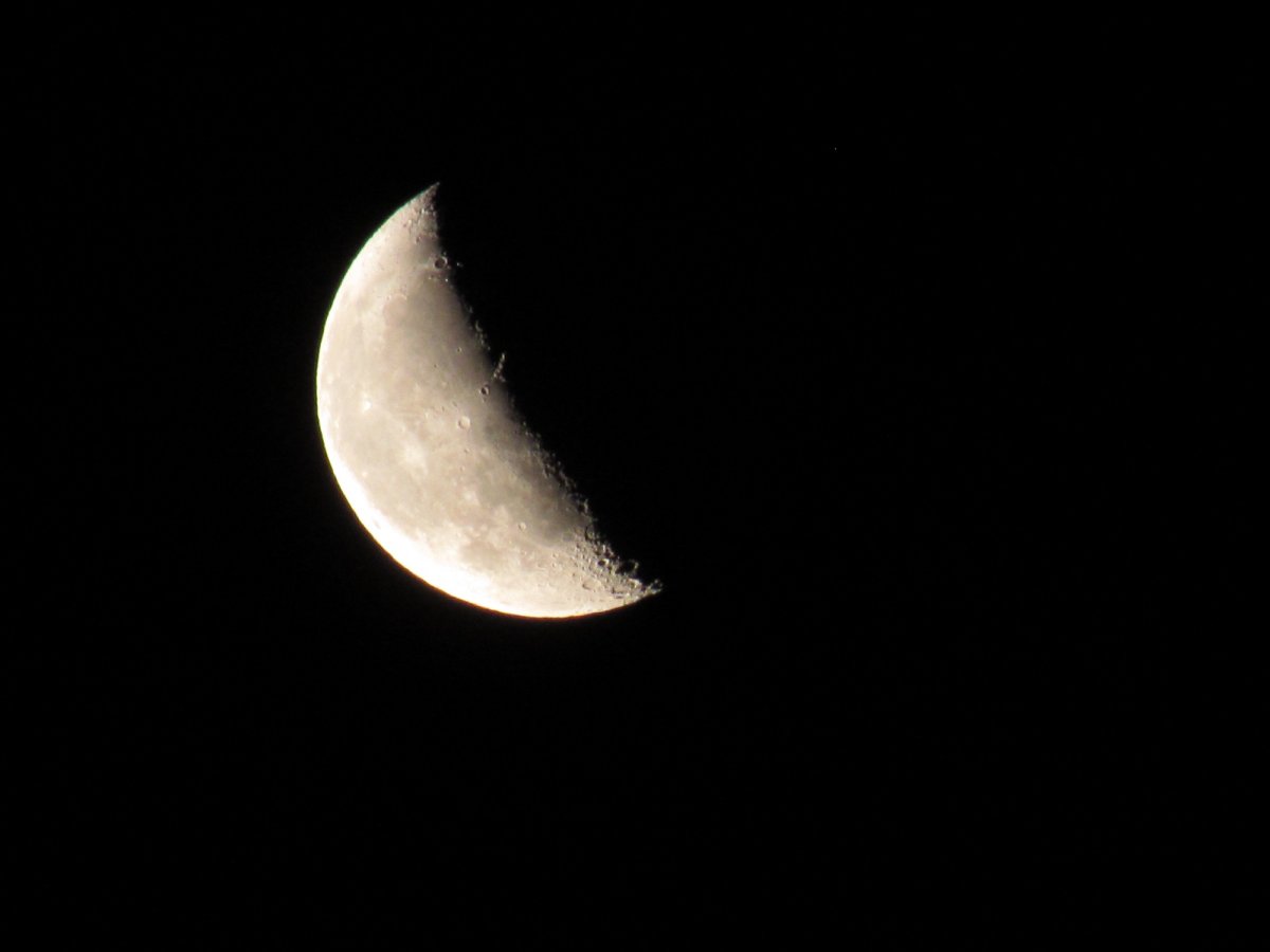 IMG_2730.JPG