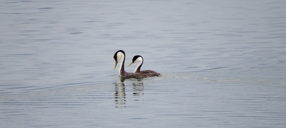 IMG_2958.JPG