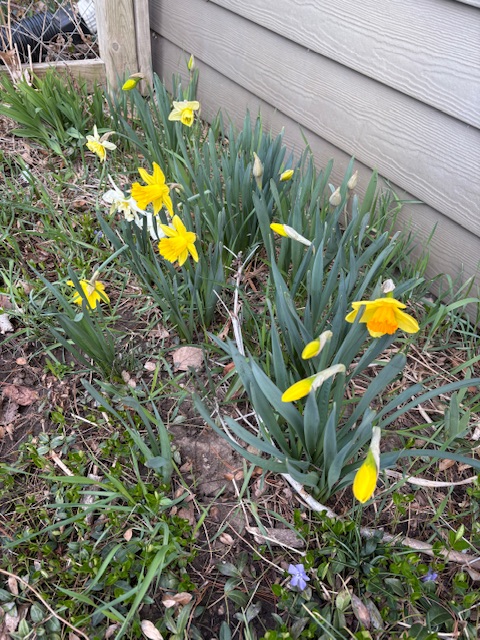 IMG_3341.jpeg