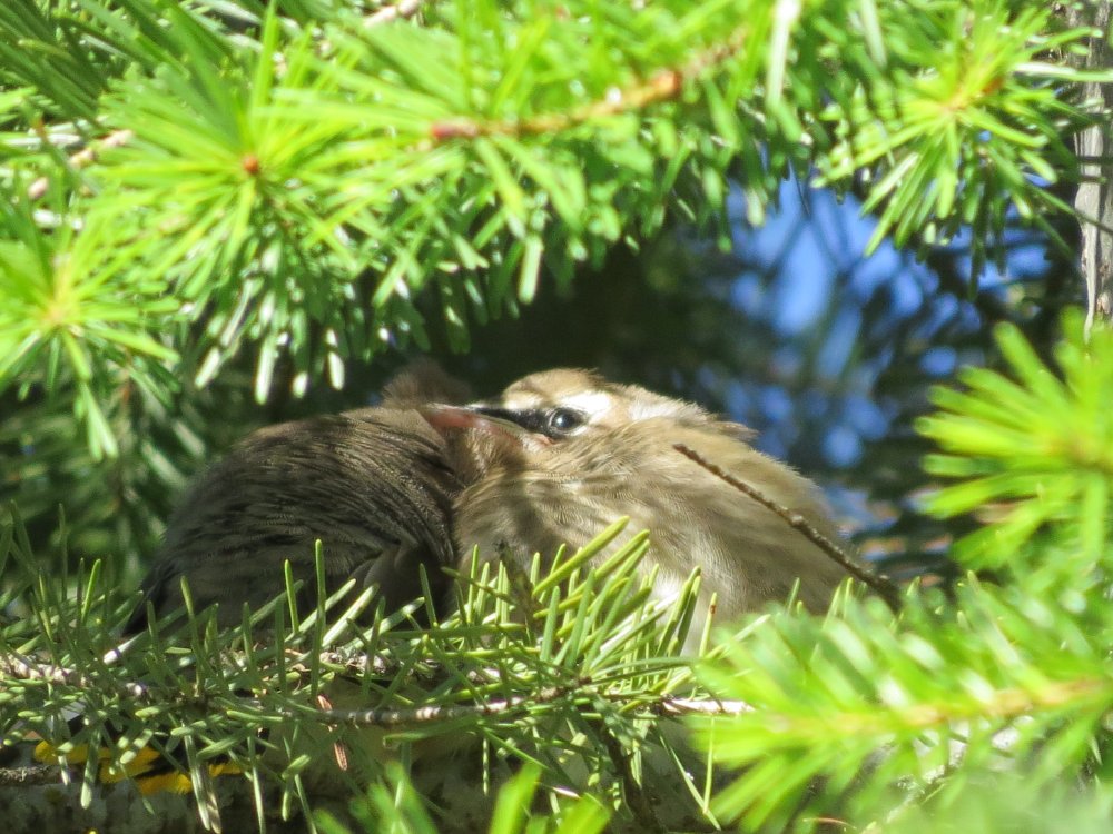 IMG_3498.JPG
