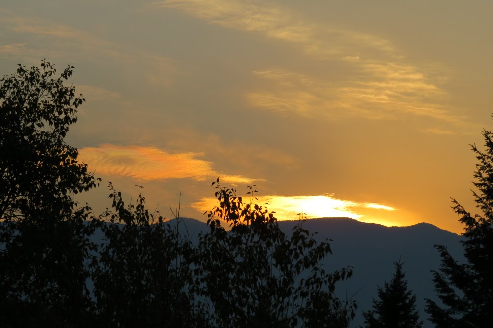 IMG_3629.JPG
