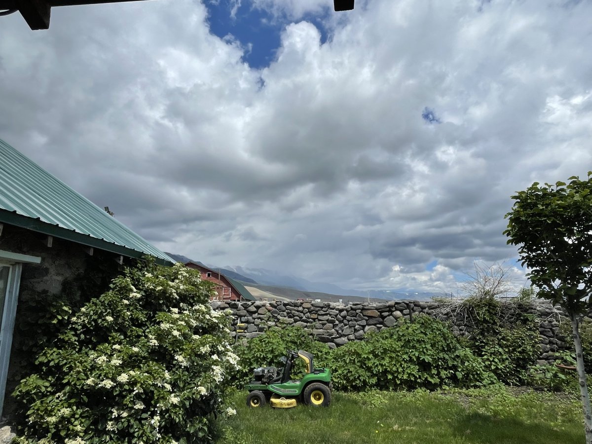 IMG_4083.jpeg