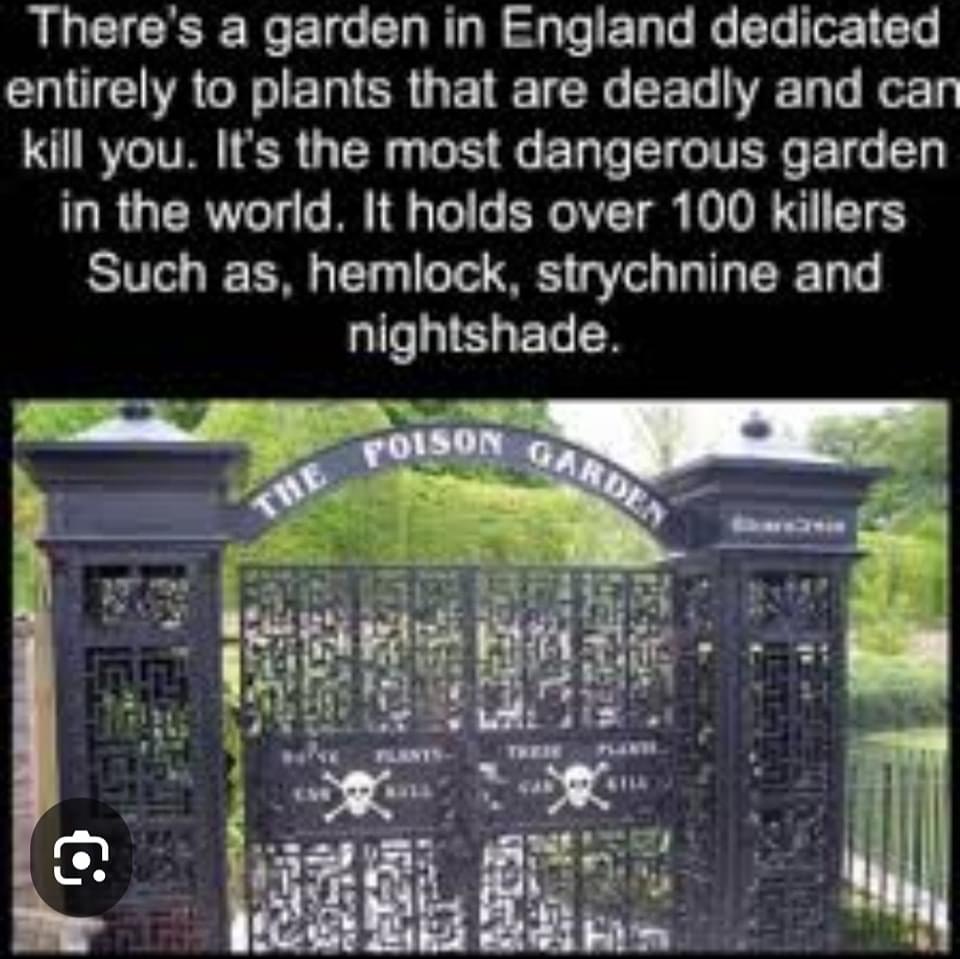 IMG_4405.jpeg