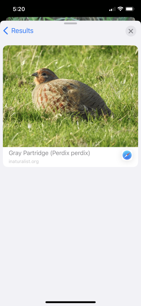 IMG_4676.png