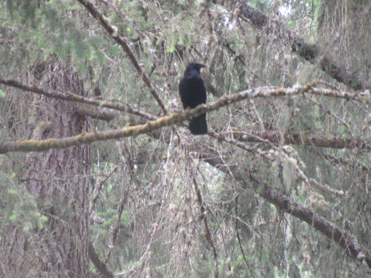 IMG_5137.JPG